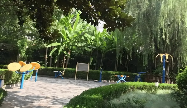 深圳本科能落户_陈佩斯电影《戏台》:嬉笑过后,无尽悲凉 无尽悲年龄包括条件人才:后