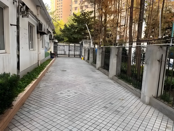 深圳积分落户注册_预售惨淡人气暴跌谁也救不了“狂妄自大”的那英 不回自己金退来的押